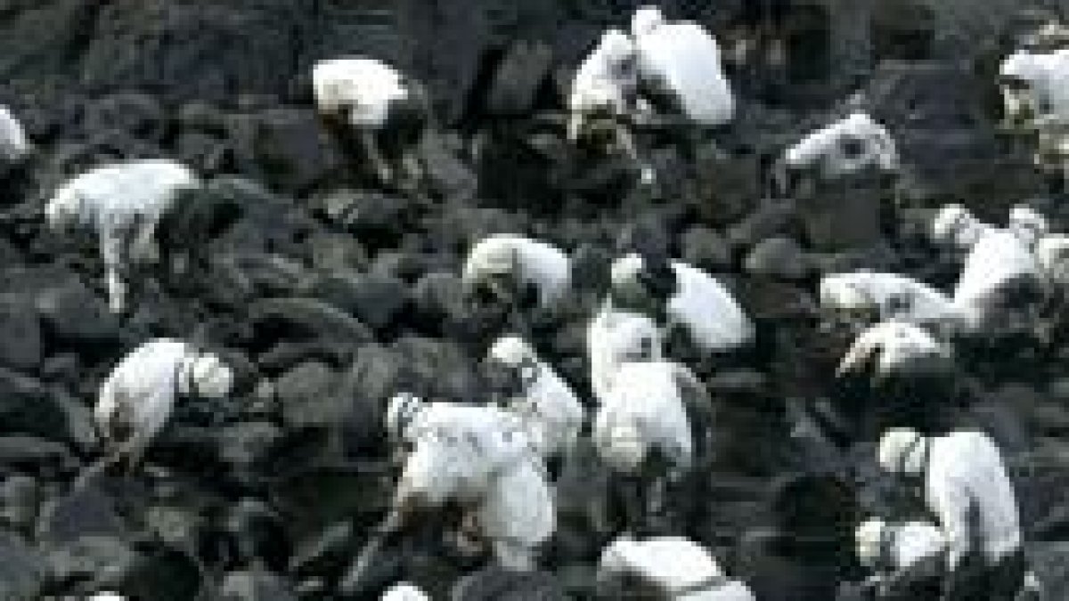 En la imagen, los voluntarios de La Rioja, durante la limpieza en las rocas de Muxía