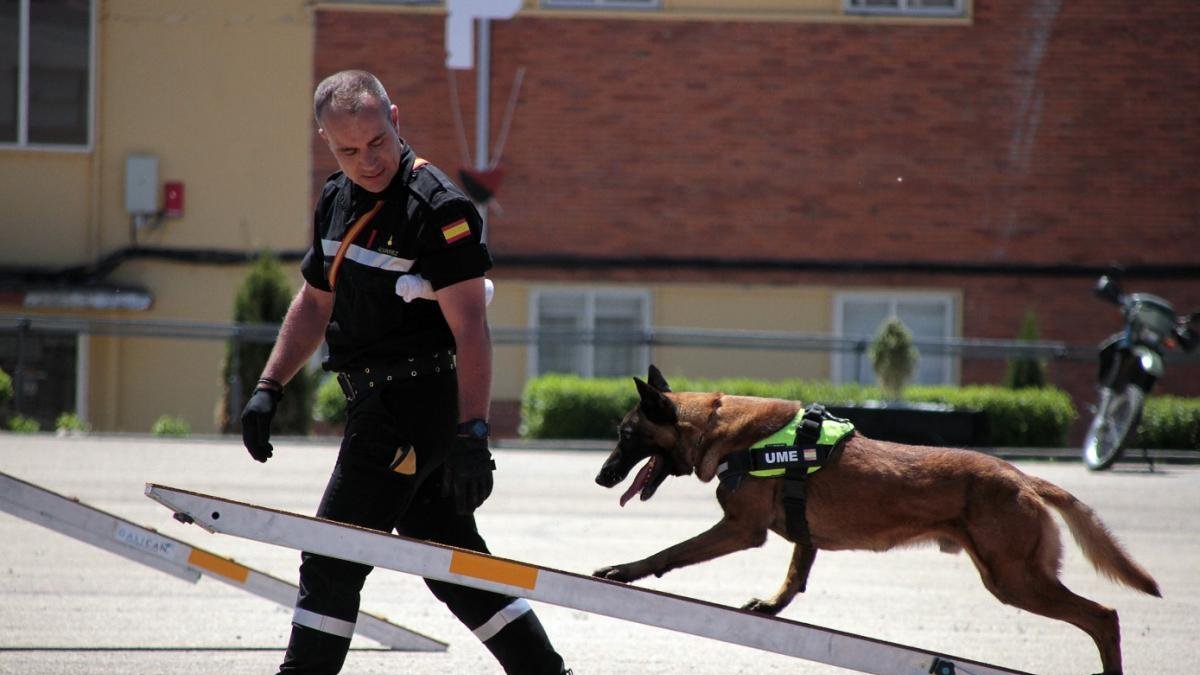 Jornada de puertas abiertas en la Base Conde de Gazola de Ferral del Bernesga con exposiciones y exhibiciones