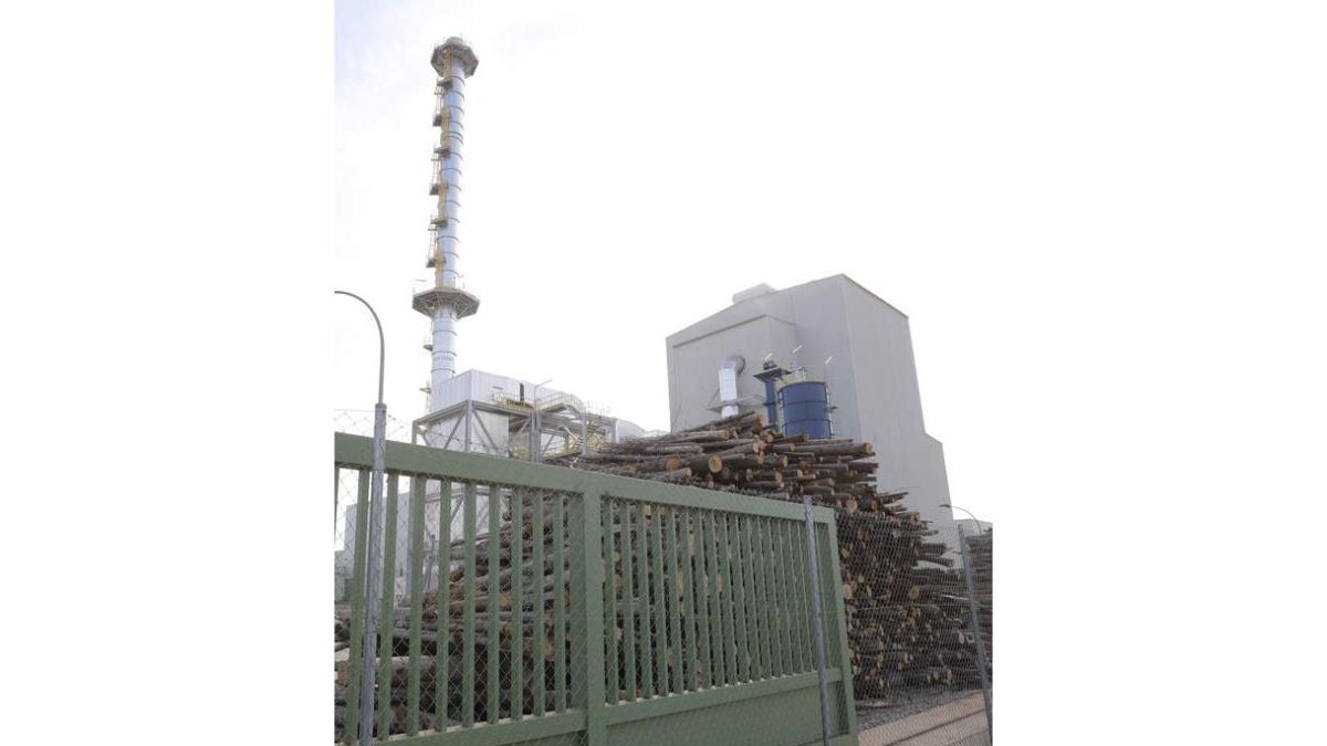 Instalaciones de Forestalia en el polígono de El Bayo, en una imagen reciente. L. DE LA MATA