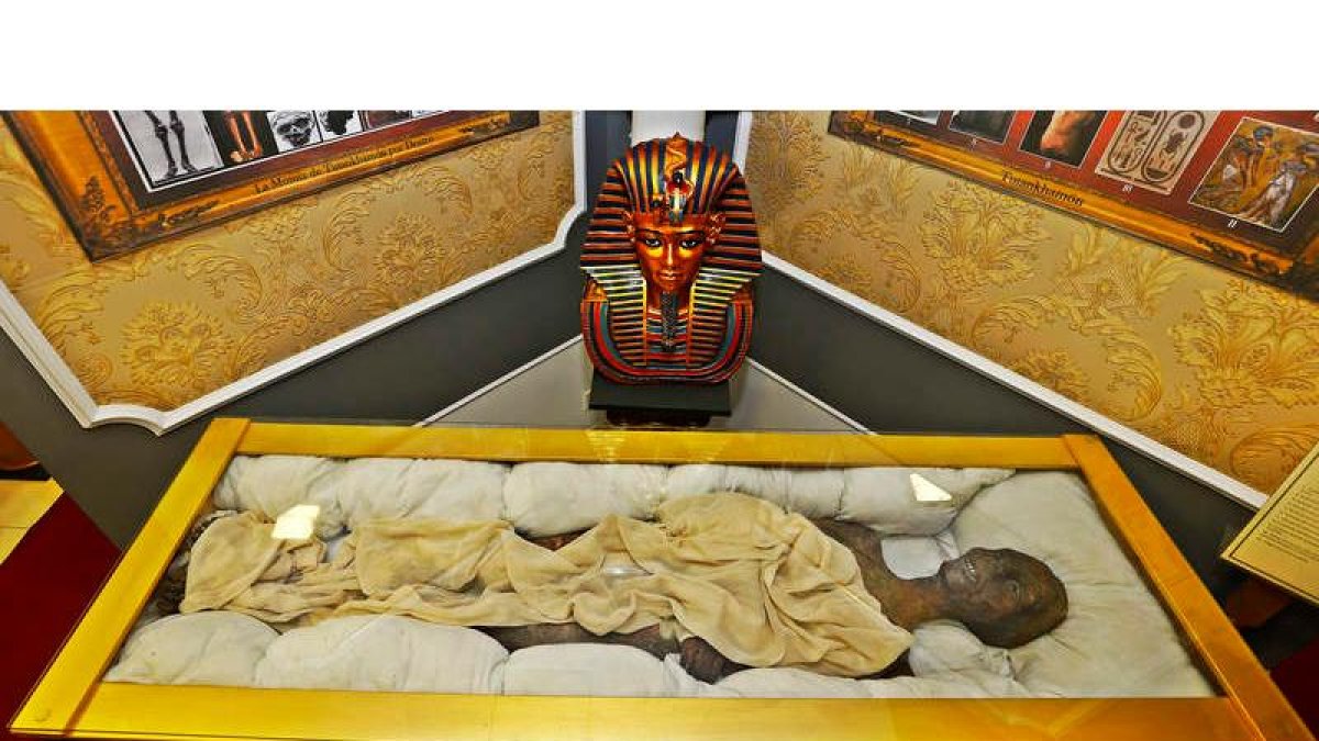 La réplica exacta de la momia de Tutankamón, que puede verse en el Museo-Liceo Egipcio de La Virgen del Camino hasta el 30 de junio.
