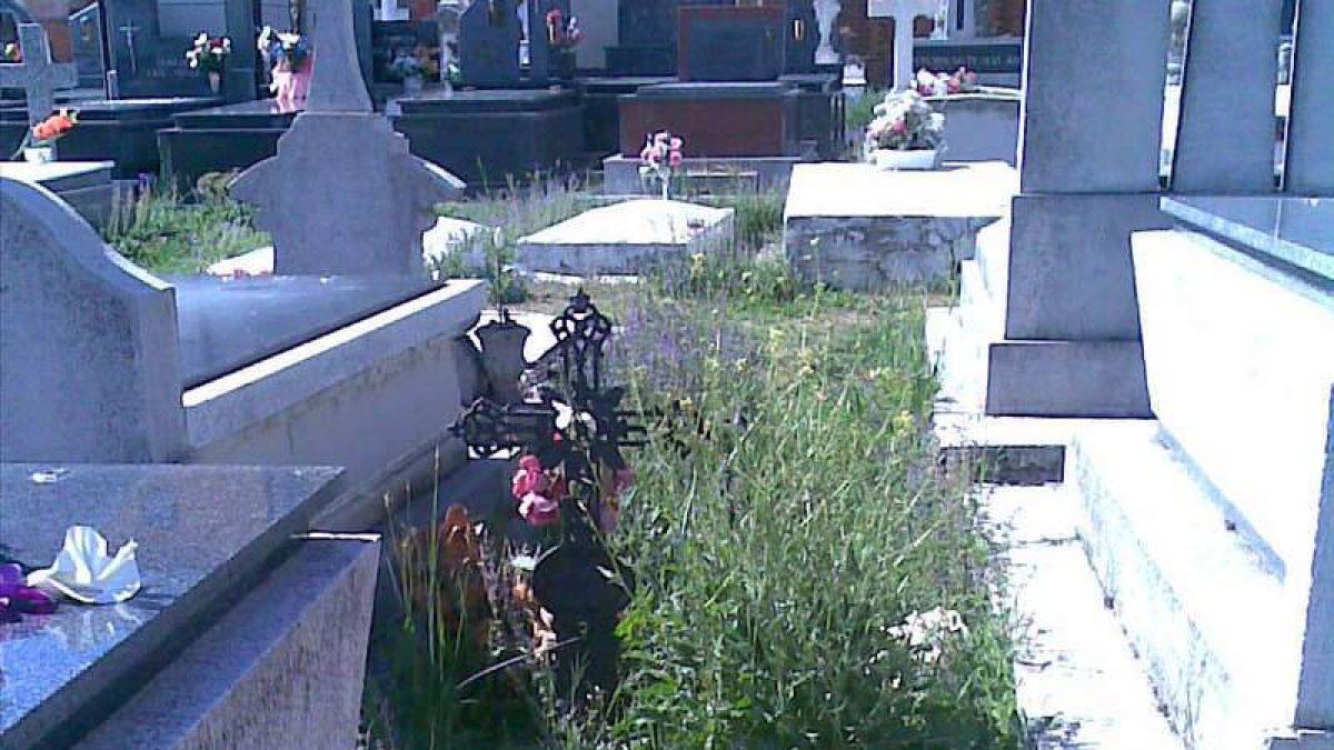 Estado en el que se encuentra el cementerio de San Andrés.