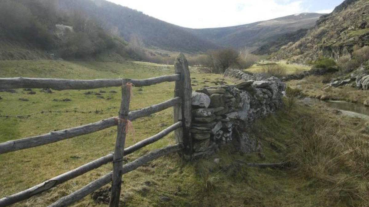 Una ‘muria’ o cerca tradicional en la comarca de Omaña. León cuenta con numerosos ejemplos en pueblos, fincas y brañas, de la técnica de la piedra seca. ARCHIVO