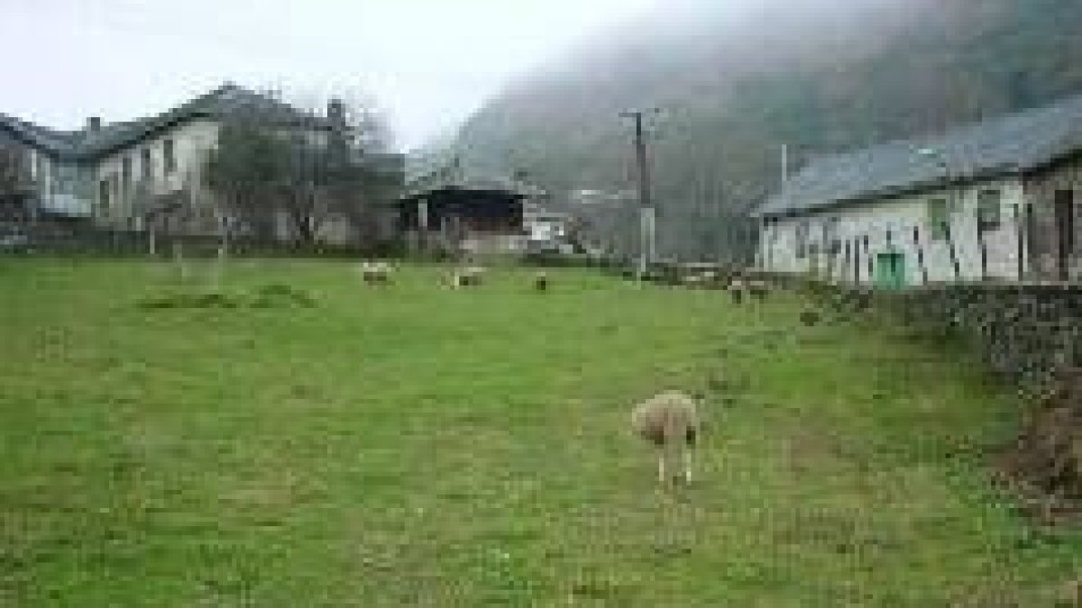 En la localidad también se crían cabezas de ovino, aprovechando los numerosos pastos de la zona