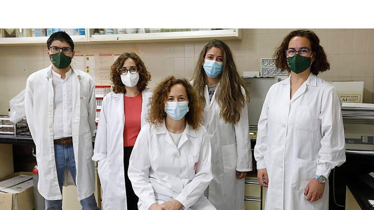 María José Ranilla (en el centro) con parte del equipo que desarrolla la investigación en el Departamento de Producción Animal de la ULE. MARCIANO PÉREZ
