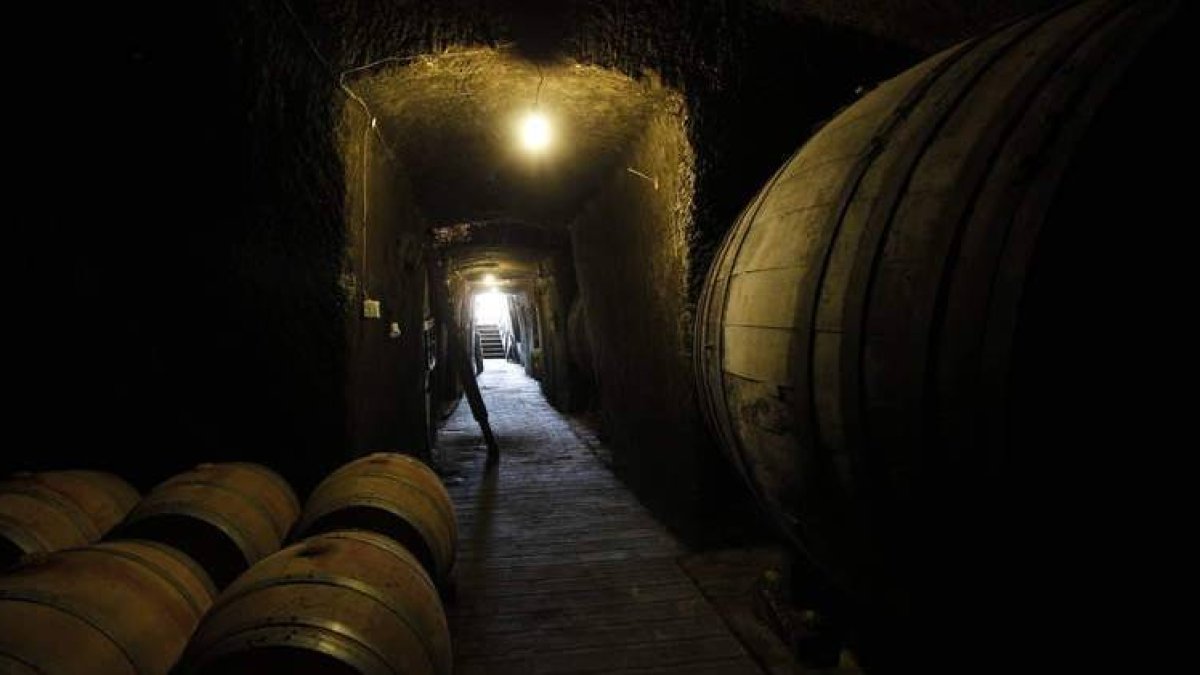 Imagen del interior de una de las bodegas elaboradoras de vino de Valdevimbre.