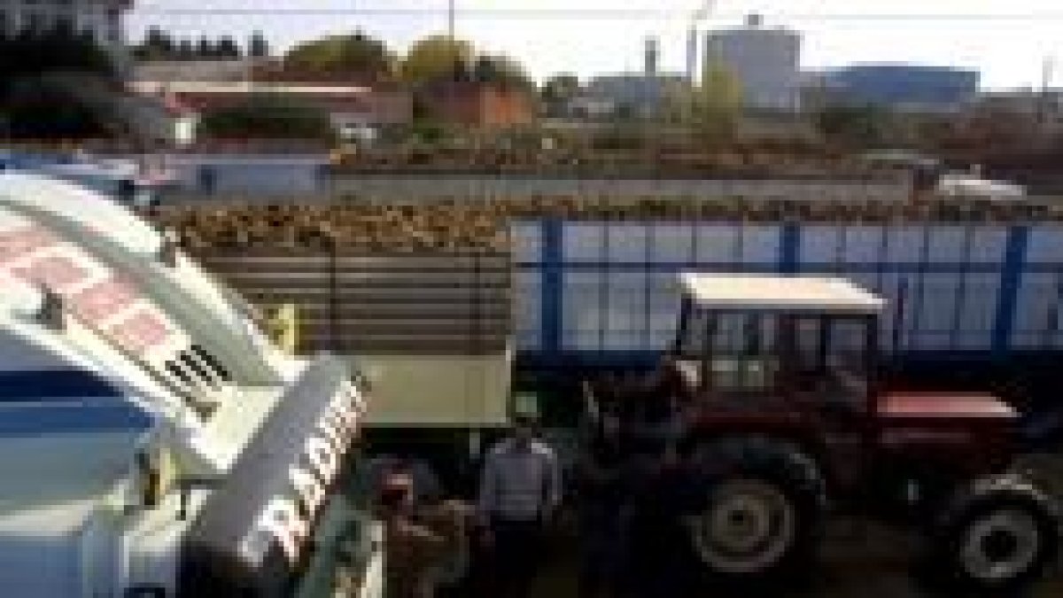 La Coag bloqueó la entrega de remolacha en La Bañeza hace un año, como se ve en la imagen de archivo