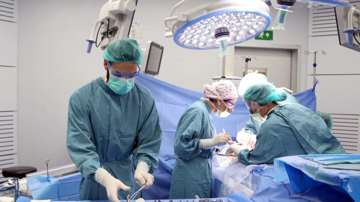El hospital Vall d’Hebron de Barcelona realiza una intervención de trasplante de órganos. EFE