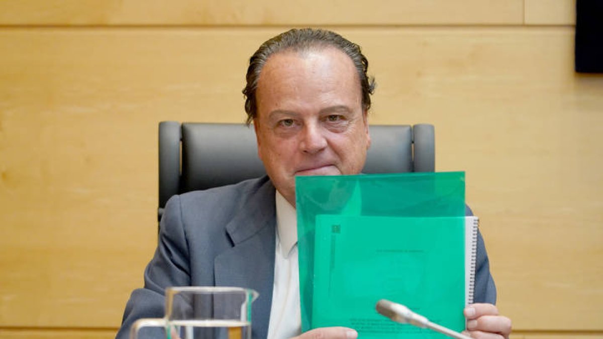 El presidente del Consejo de Cuentas de Castilla y León, Mario Amilivia. DL
