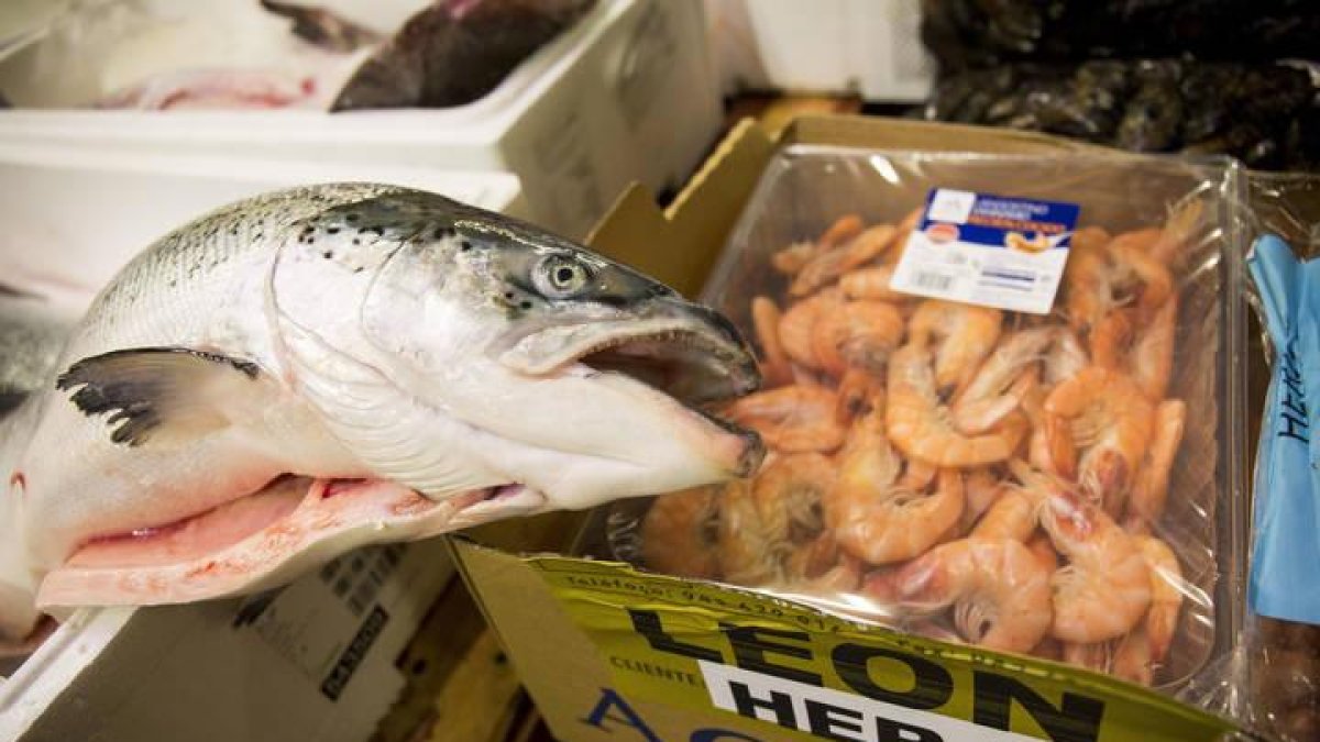 Pescado fresco en uno de los stands de Mercaleón