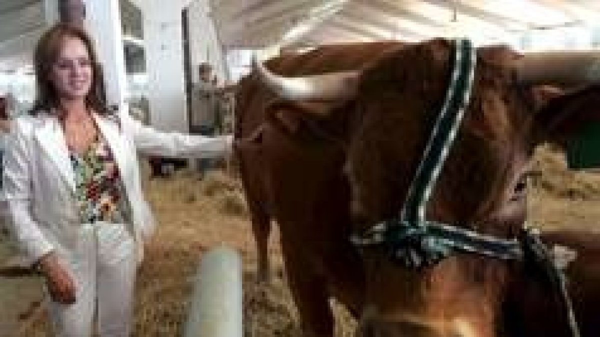 Silvia Clemente acaricia a un ejemplar de bovino en una feria en Salamanca