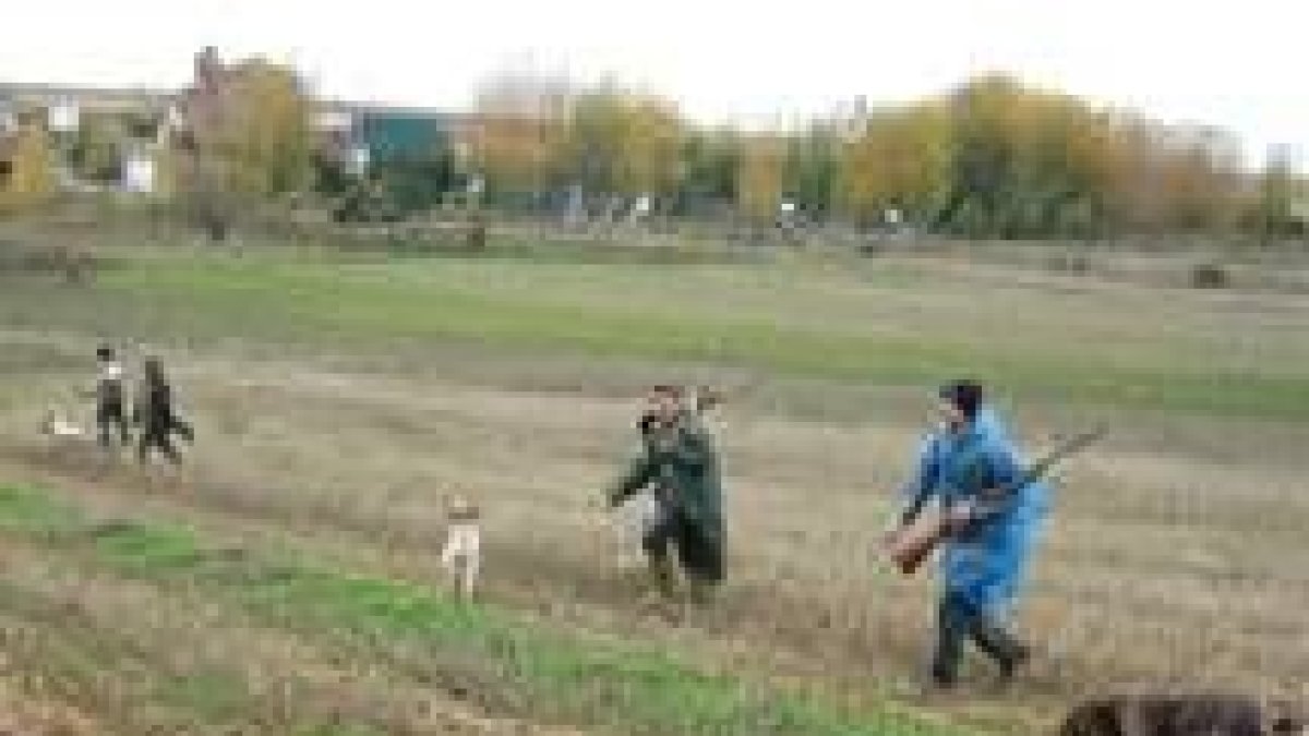 La caza menor con perro suele practicarse en mano de tres o más escopetas
