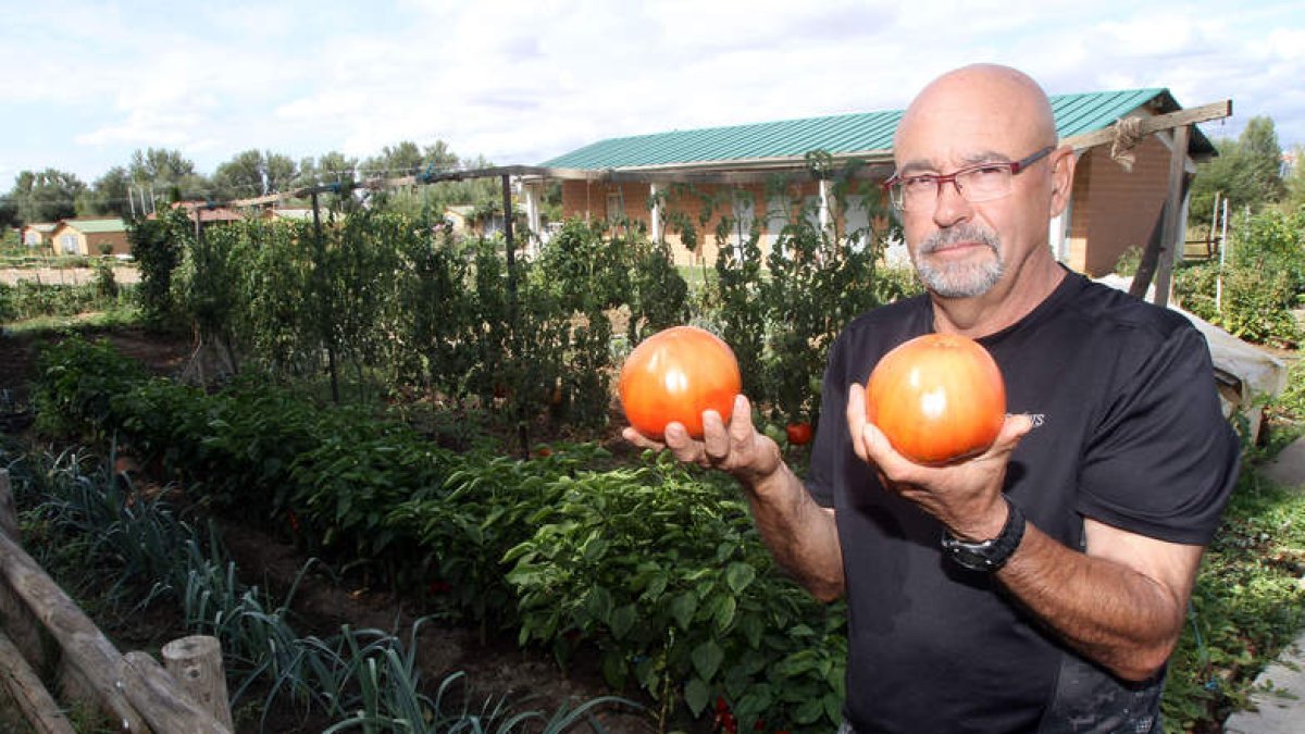 José María González comienza a recolectar los tomates y pimientos de su huerto
