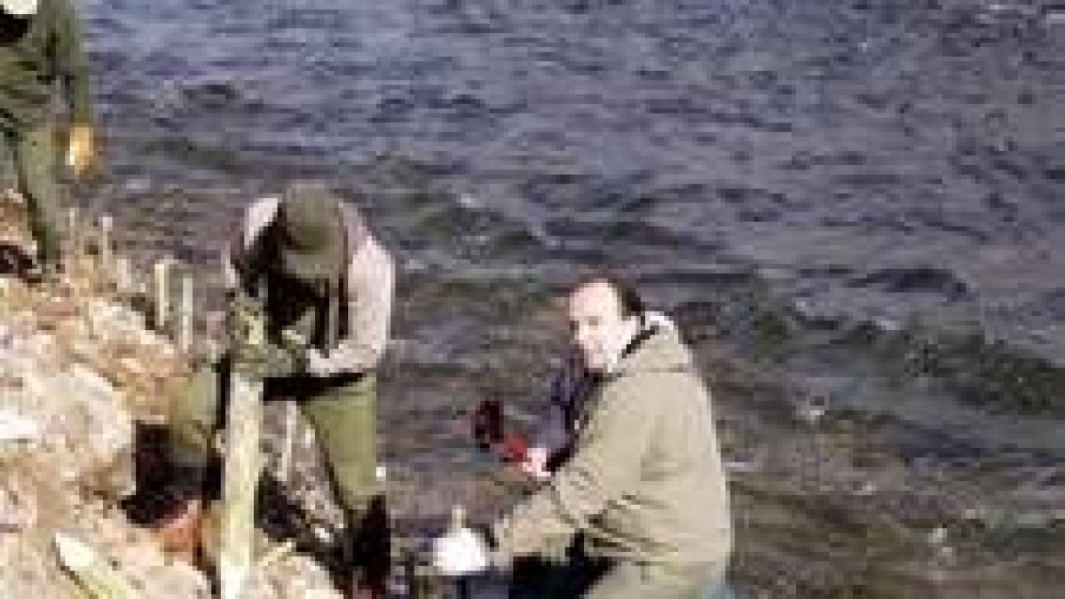 Voluntarios y pescadores realizaron labores de limpieza y regeneración del un tramos del río Órbigo