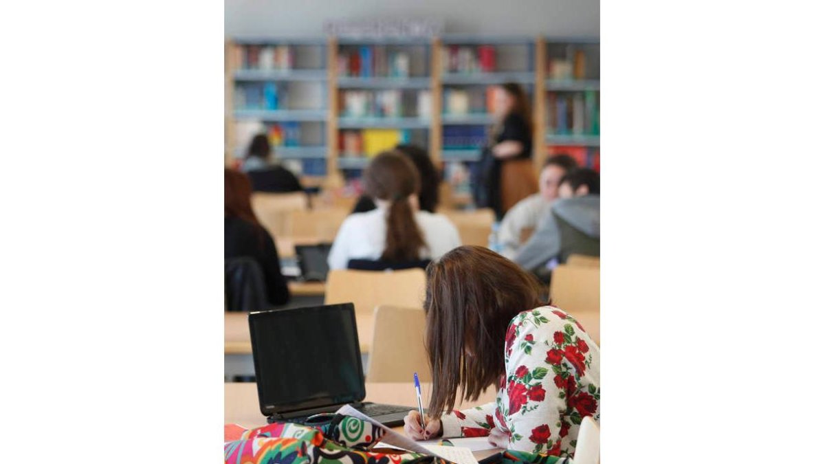 Una alumna estudia en la biblioteca de la Facultad de Educación de la Universidad de León. ARCHIVO