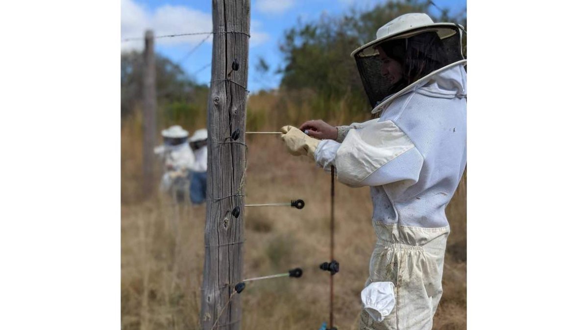 Una apicultora durante la jornada de cierre de colmenares. DL