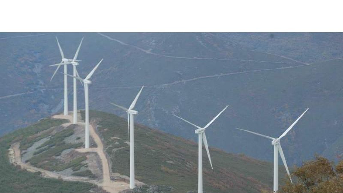 Parque eólico situado en el Bierzo Alto. El estudio sinérgico sobre los efectos de los parques eólicos incluirá tanto los proyectados como los que ya están en funcionamiento.