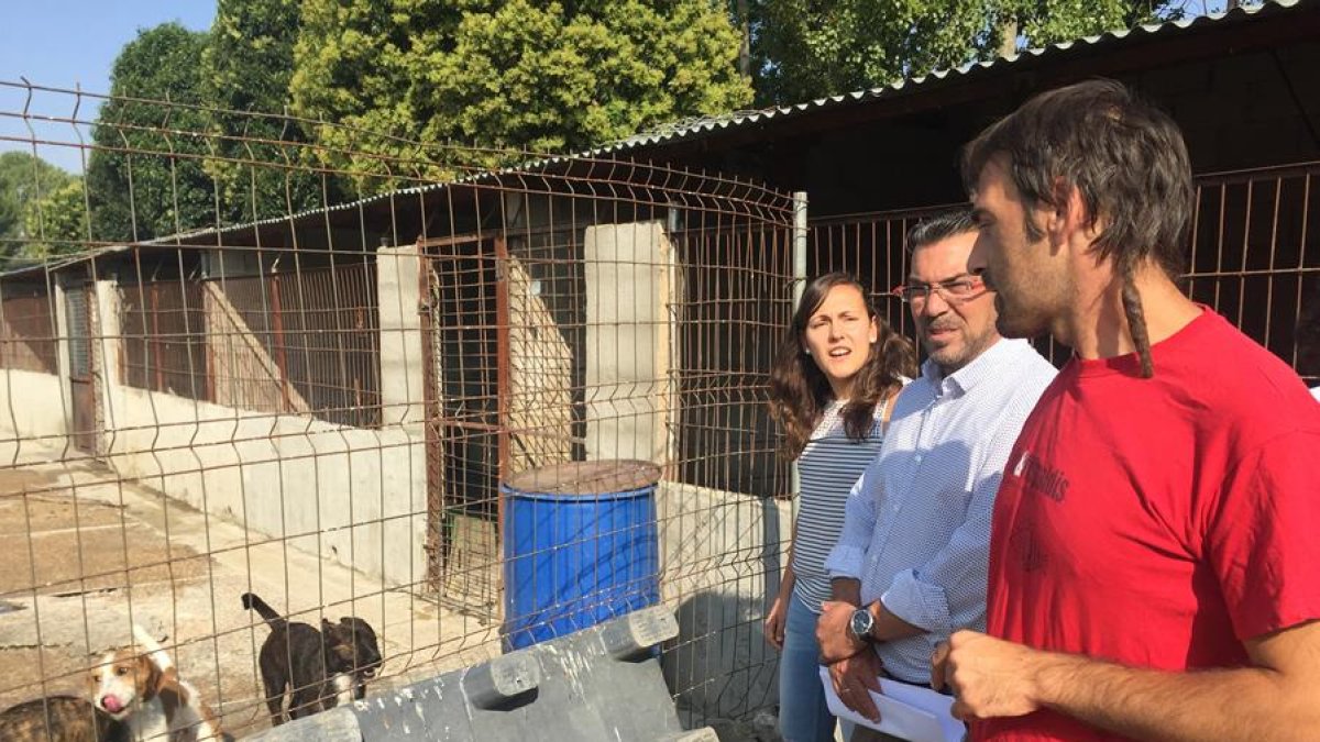 El concejal responsable del área, Pedro Llamas, durante una visita a las instalaciones de la Protectora de Animales en León.