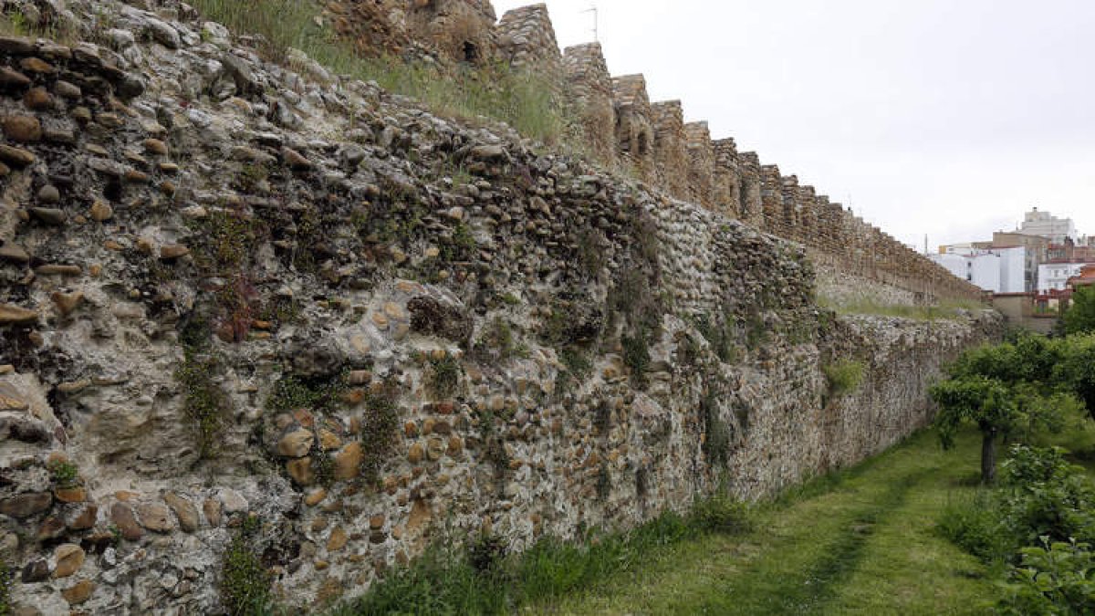 Panorámica de la muralla medieval leonesa, sobre la que el Ayuntamiento llevará a cabo un plan para su recuperación. MARCIANO PÉREZ