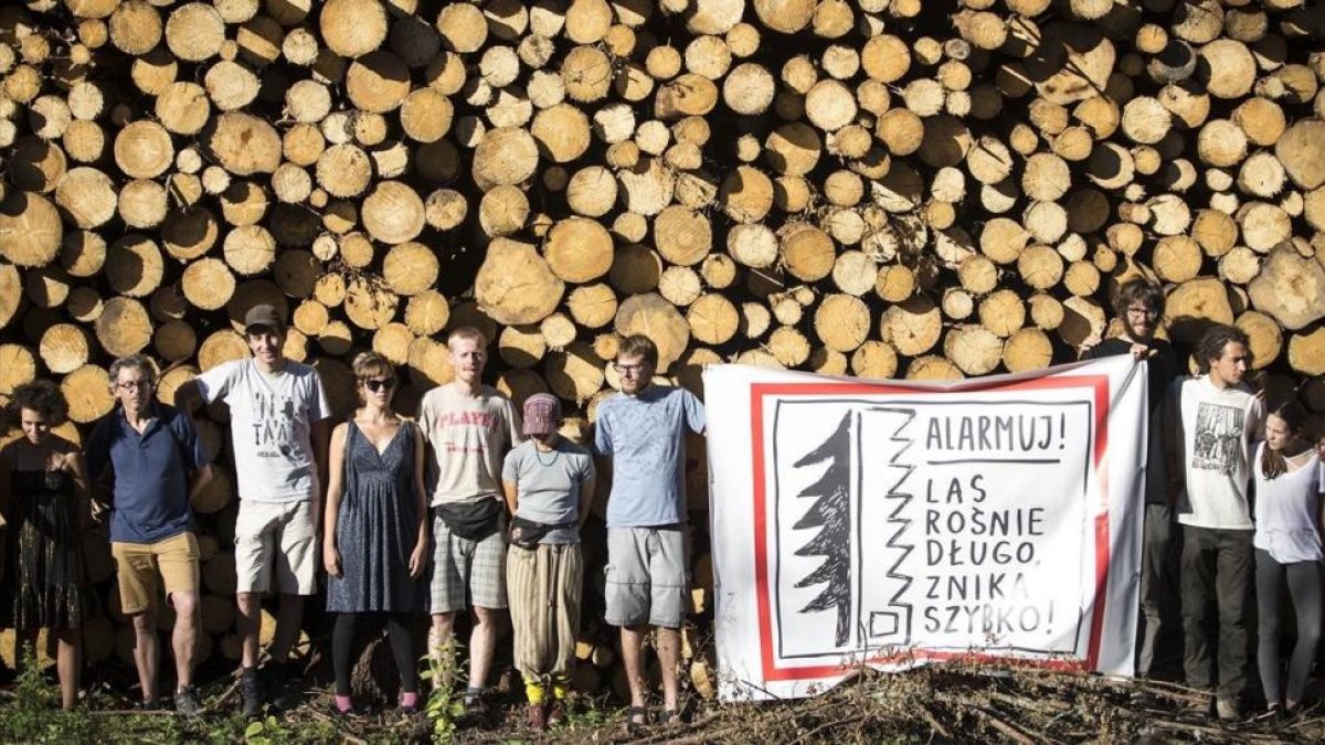 Protesta por la tala de árboles del bosque de Bialowieza el pasado mes de agosto.