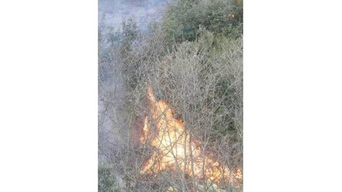 Un efectivo trabaja en el monte de Las Omañas para apagar el fuego