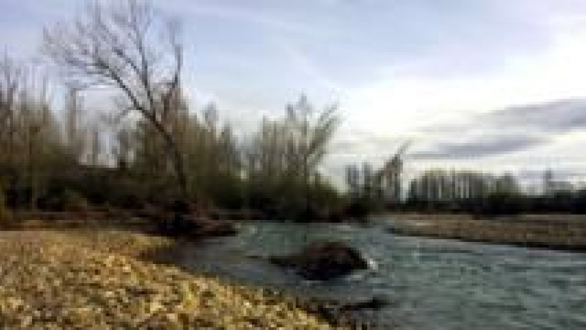 En la imagen, una foto de archivo del río Torío a su paso por Villanueva del Árbol