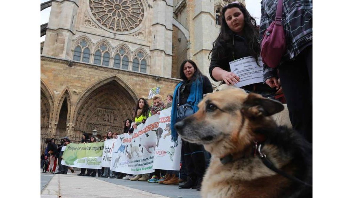 Un momento de la marcha en favor de los derechos de los animales, a la altura de la Catedral.