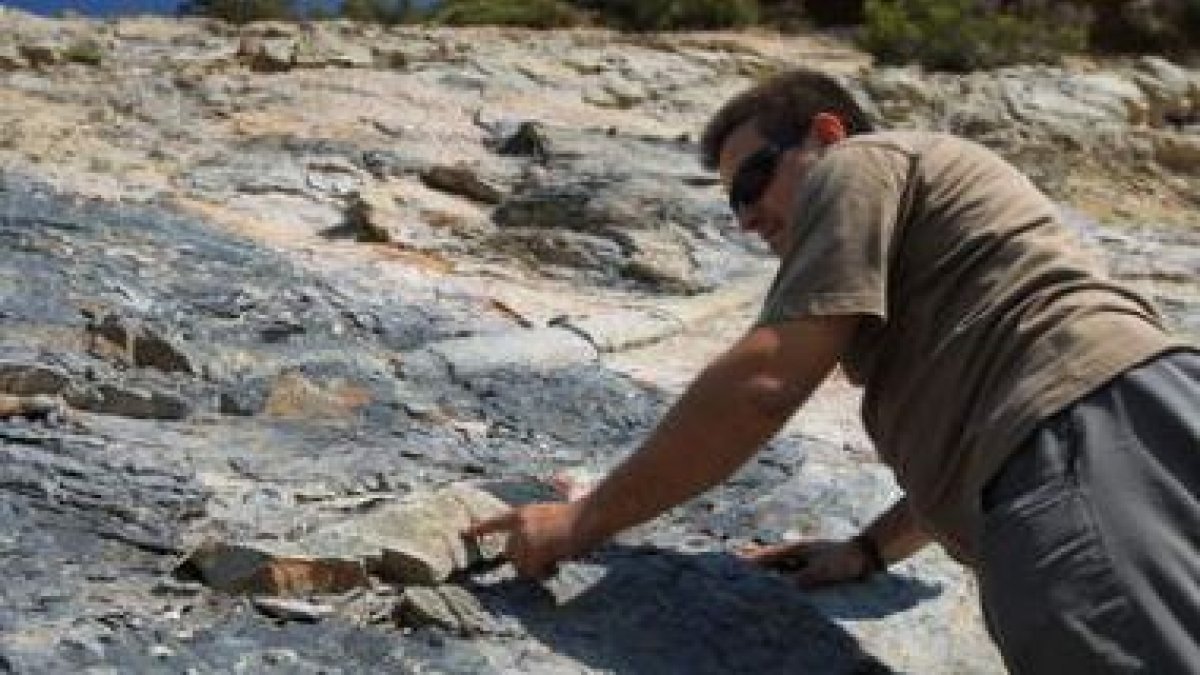 Un vecino de la zona muestra dos de los escasos fósiles que han sobrevivido al destrozo, ya rotos.