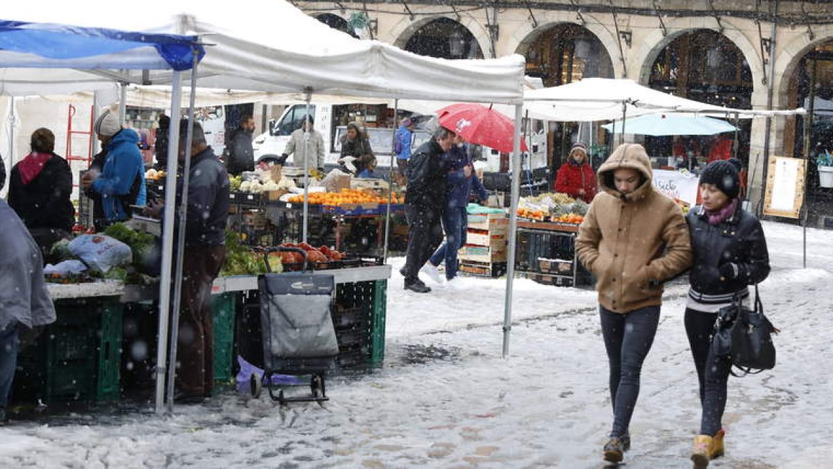 Los leoneses tuvieron que lidiar ayer por la mañana con una intensa nevada lo que obligó al Ayuntamiento de León a activar su plan de limpieza. MARCIANO