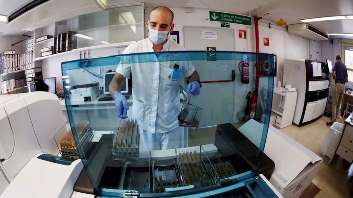 Un técnico de laboratorio trabaja con muestras de test serológicos en Navarra. JESÚS DIGES
