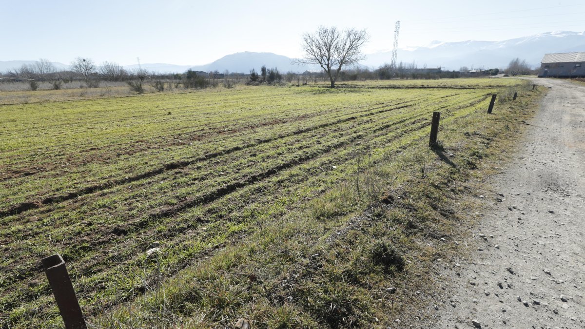 Terrenos en los que Camponaraya y Ponferrada ha puesto el ojo para desarrollar un posible parque agroalimentario. L. DE LA MATA