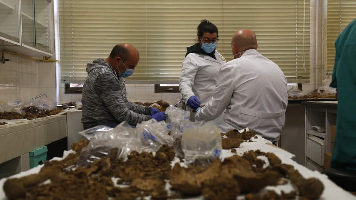 La antropóloga forense Laura González-Garrido dirige la limpieza en un laboratorio de la Facultad de Biología. FERNANDO OTERO