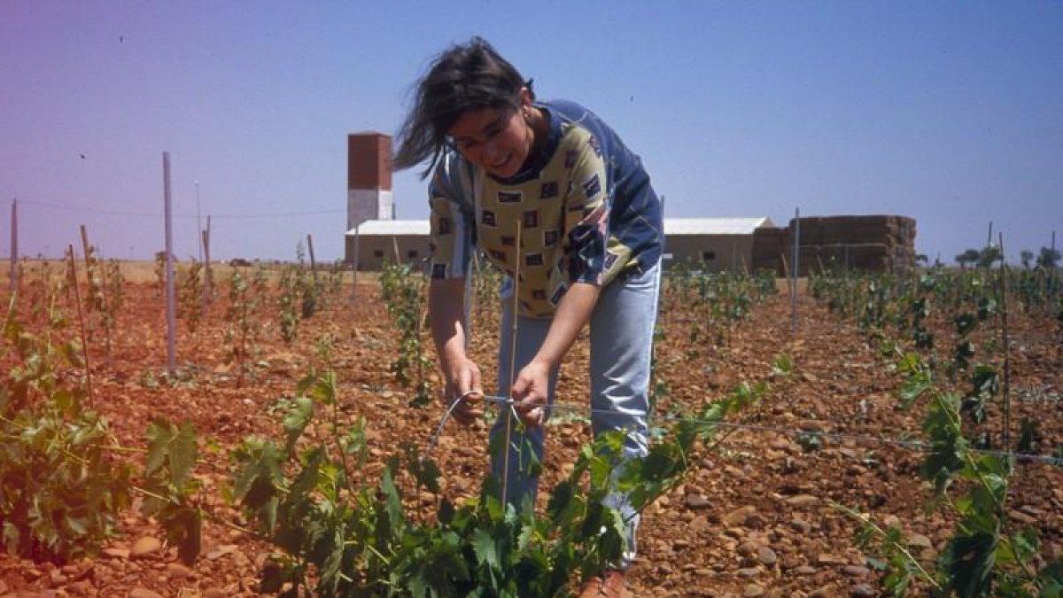 Una mujer trabajando en el campo en la provincia de León