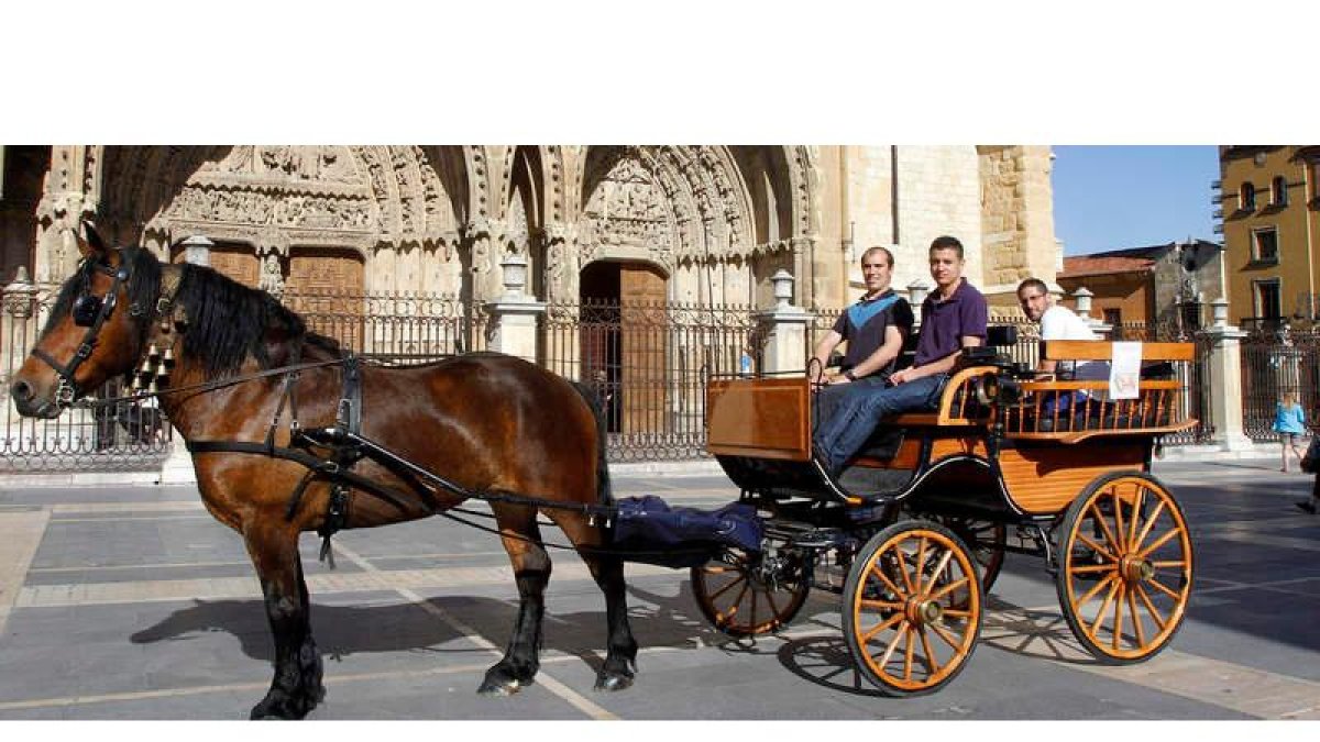 La calesa tirada por un caballo, frente a la Catedral, ayer, en uno de sus primeros viajes.