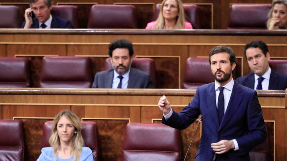 El líder del PP, Pablo Casdo, hoy en el Congreso. FERNANDO ALVARADO