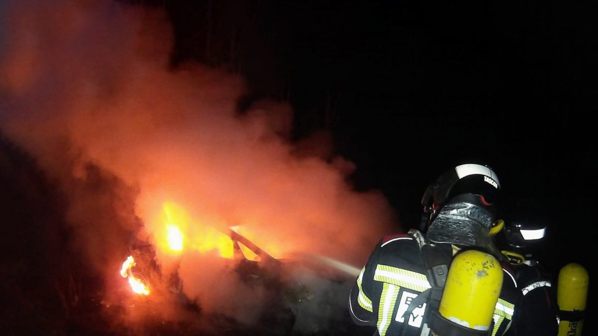 Bomberos de León durante la extinción del incendio en Villanueva del Árbol. LUIS CANAL