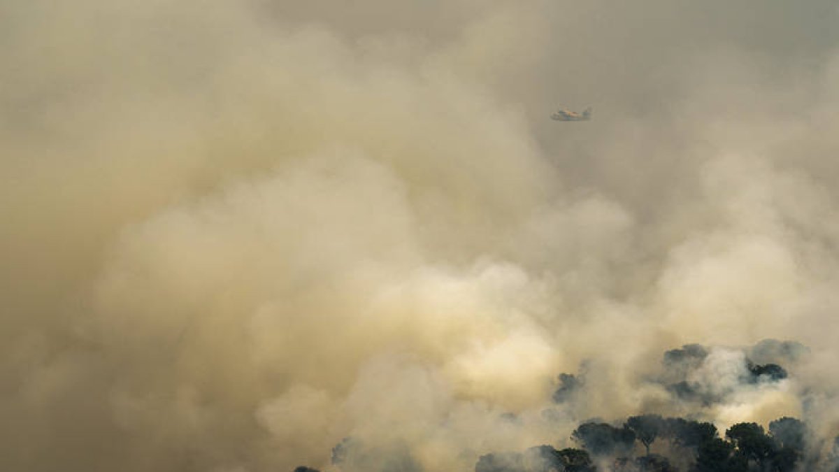 Un hidroavión trabaja en las labores de extinción del incendio declarado el sábado en Cebreros (Ávila) que ha quemado más de 3.000 hectáreas. RAÚL SANCHIDRIÁN
