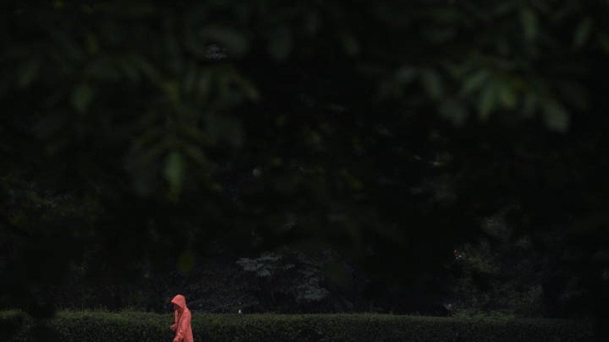 Una mujer pasea con sus perros. VASSIL DONEV