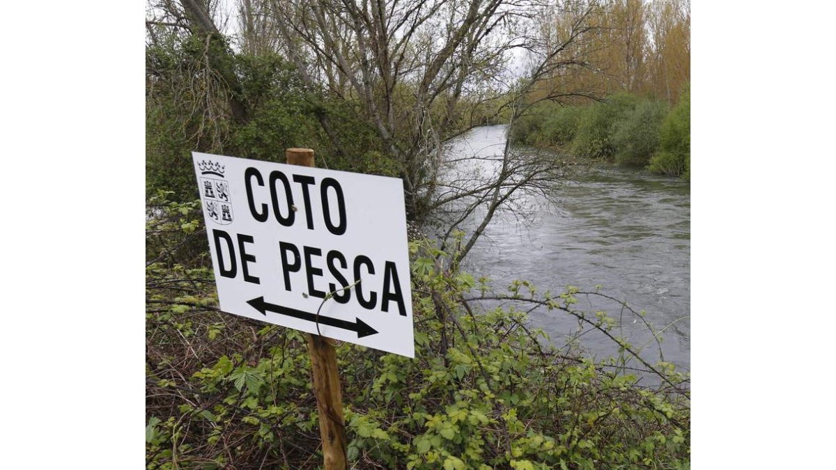 Uno de los cotos de pesca existentes en la provincia leonesa. RAMIRO