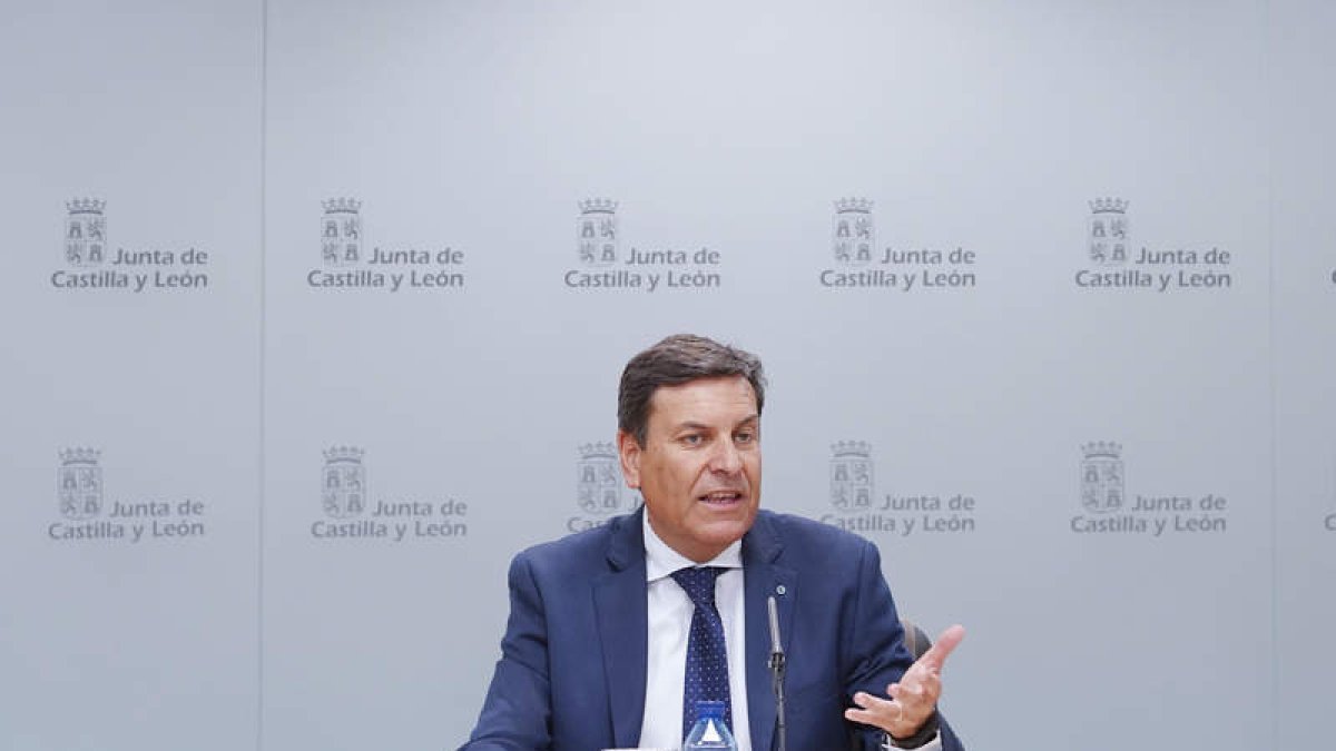 El consejero de Economía, Carlos Fernández Carriedo. NACHO GALLEGO