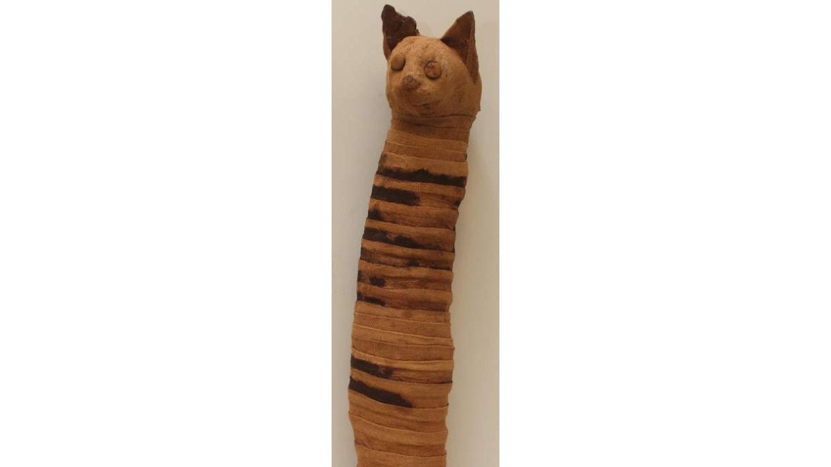 Momia de gato de la exposición que vendrá a León. Sobre estas líneas, momia de gacela en su sarcófago y de un buey.