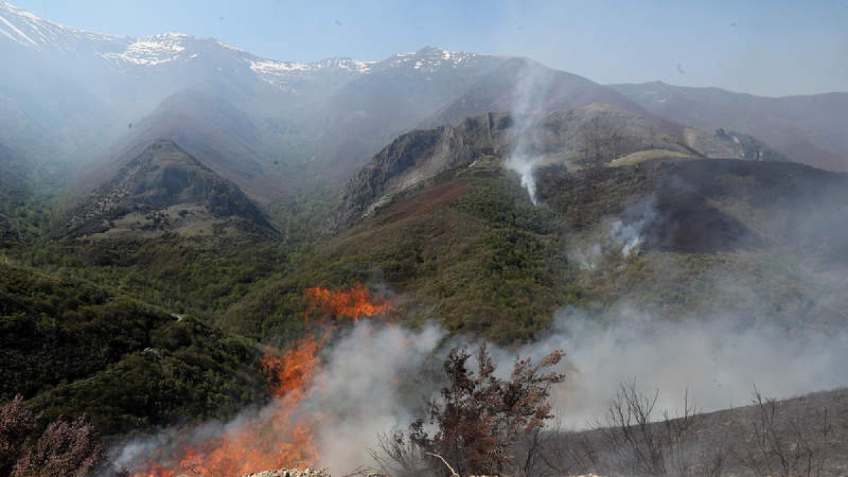 La Tebaida en llamas, en una imagen del incendio el pasado 21 de abril. ANA F. BARREDO