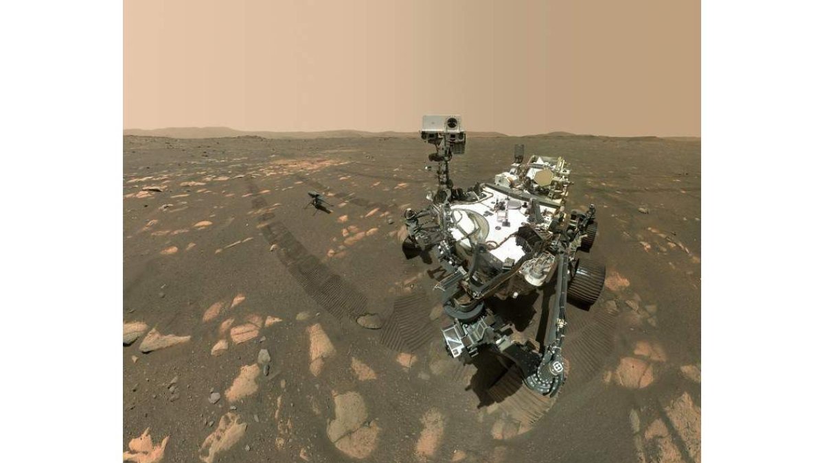 El rover Perseverance se tomó una foto con el helicóptero Ingenuity Mars. NASA