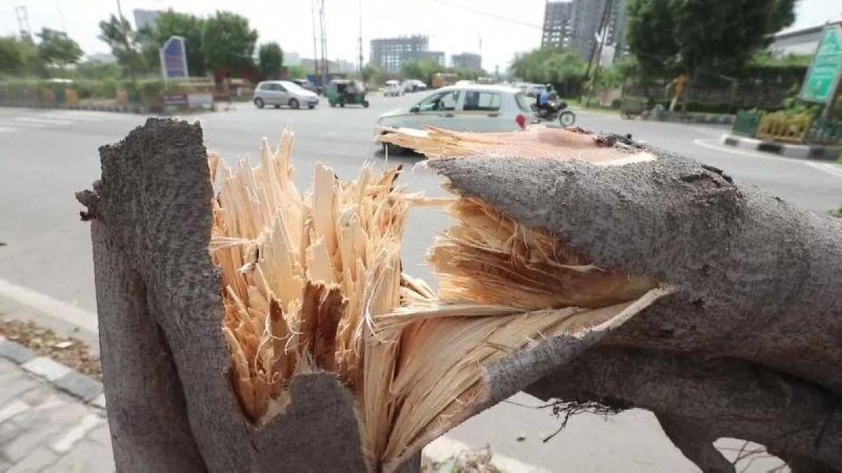 Al menos 42 personas murieron y otras 47 resultaron heridas en las últimas 24 horas debido a la lluvia y el viento en la India.