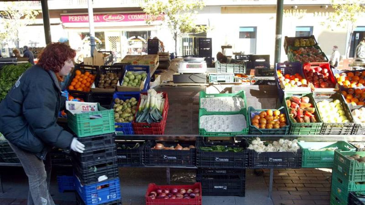 Mercado de frutas y hortalizas de la Plaza España de Valladolid