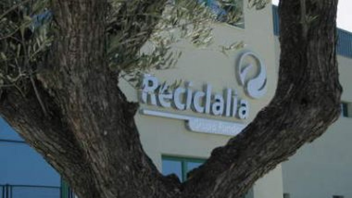 Las ramas de un olivo enmarcan el rótulo de la entrada principal a la planta bañezana de reciclaje