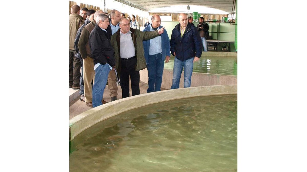 Javier Sancho muestra la piscifactoría de trucha común de Vegas.