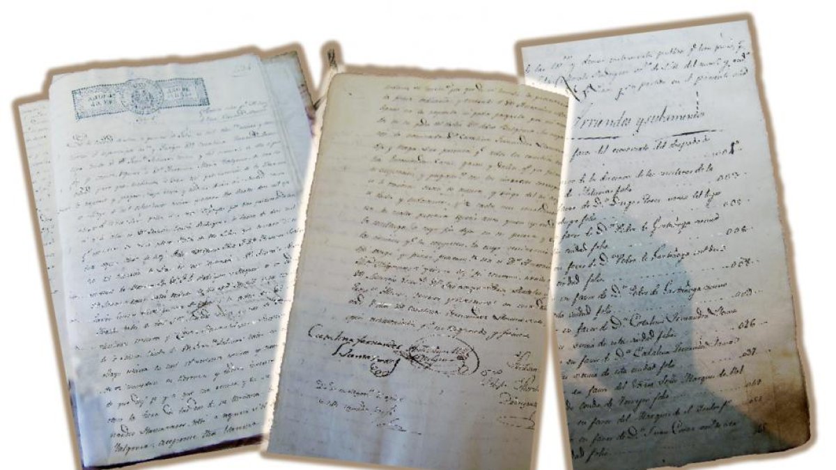 La firma de Catalina Fernández Llamazares aparece en numerosos documentos mercantiles.