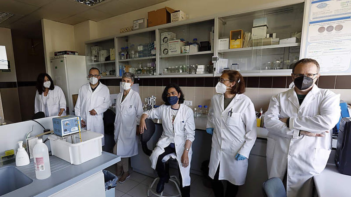 Investigadores del Instituto de Biotecnología de León en las instalaciones de La Granja. MARCIANO PÉREZ