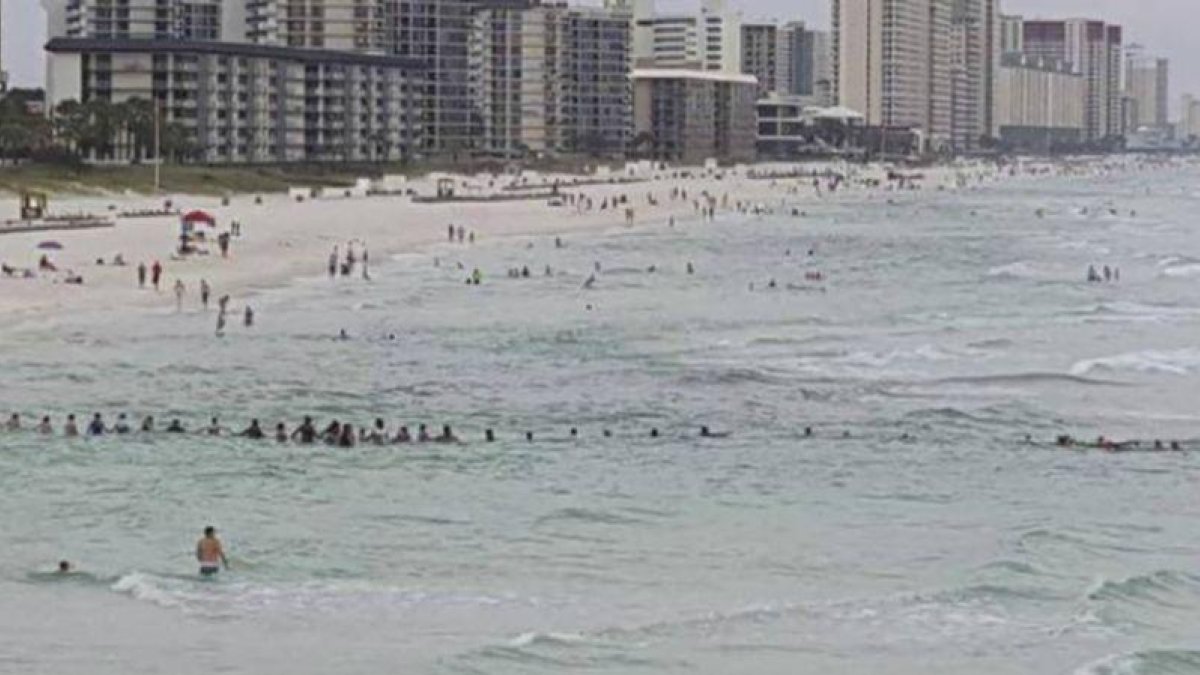 Imágen de la cadena humana de más de 70 bañistas en la playa de Panama City, Florida (EEUU). /TWITTER.
