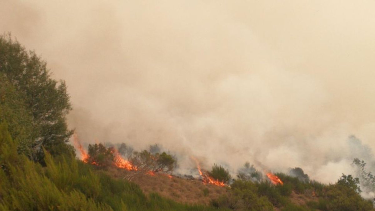 El fuego que afecta a Villar de Santiago, VANESSA ARAUJO